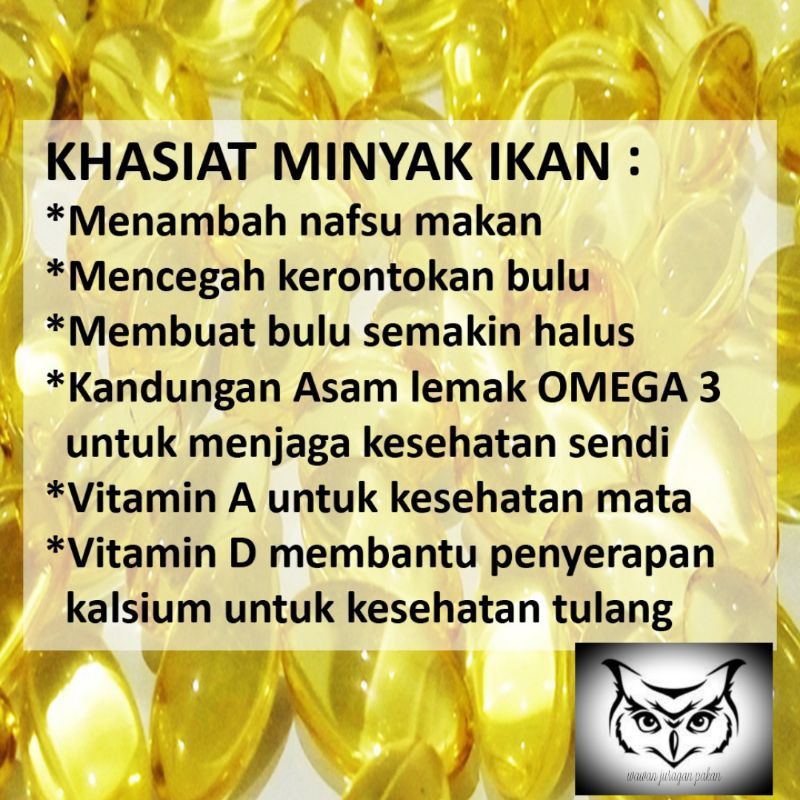 minyak ikan kucing dan anjing per 10 biji
