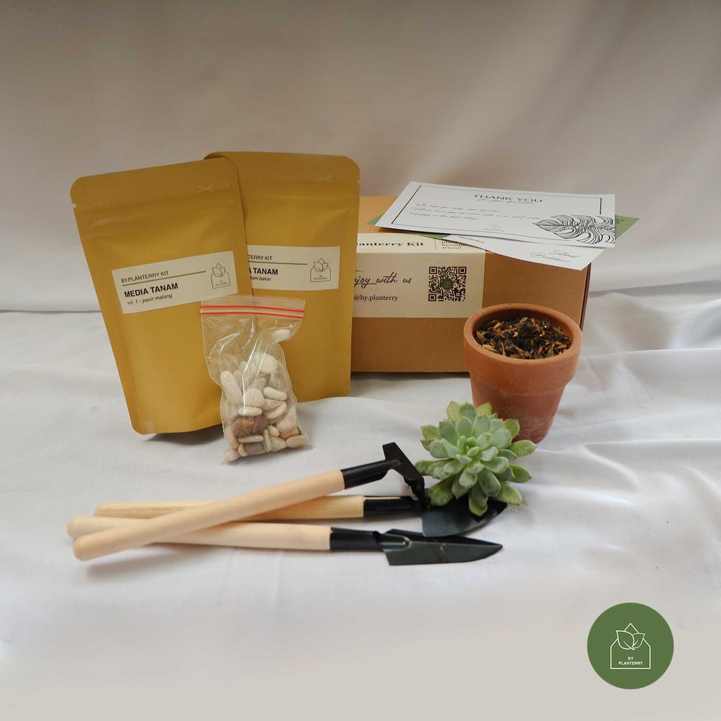 Planting Kit / DIY Kit - Hampers Kaktus Sukulen / Self Planting Premium Box