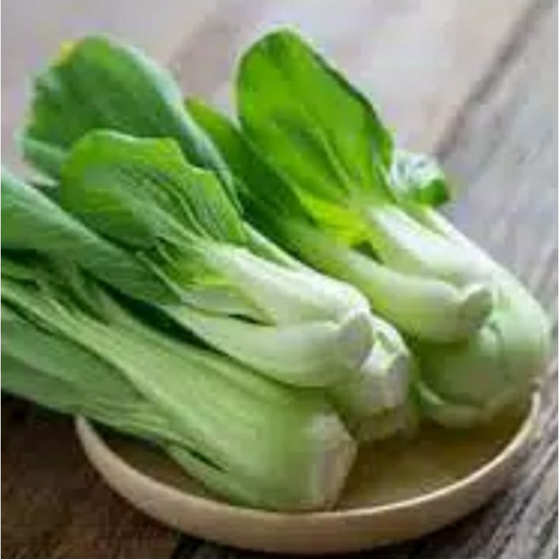 Pak Choi 500 g / Bok Choy / Pak Coy / Bok Coy / Pakcoy