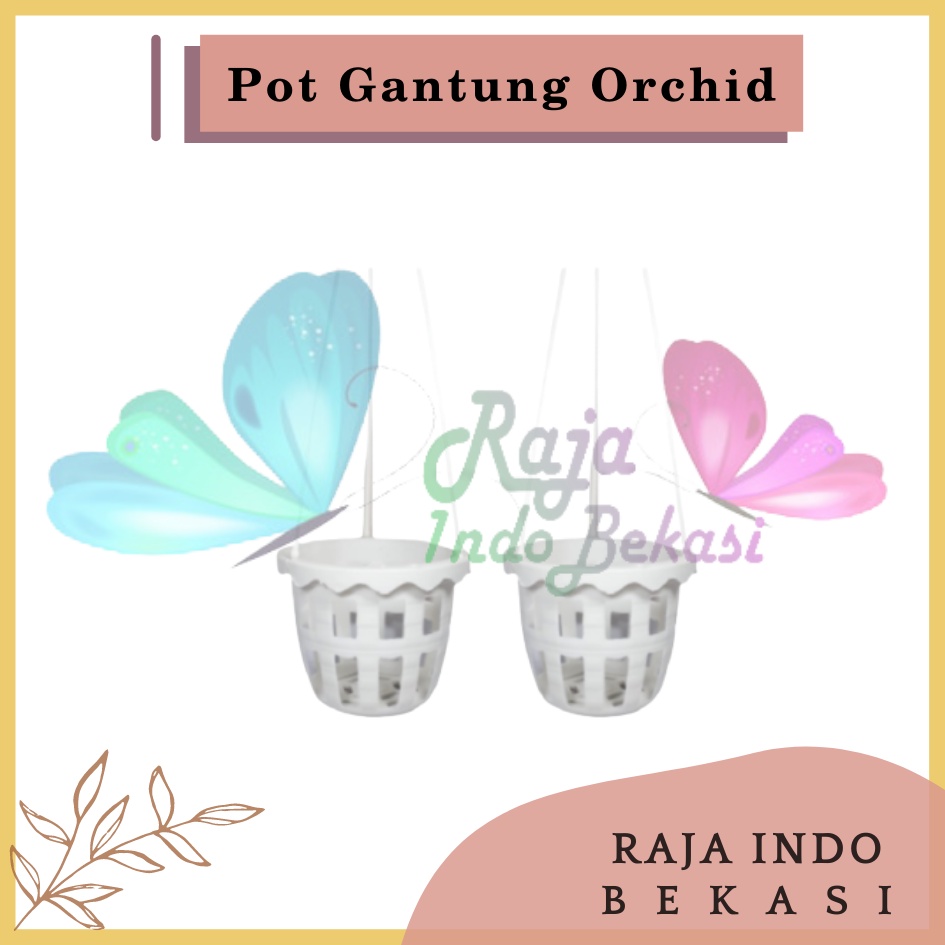 Pot Gantung Anggrek Orchid 10 cm Putih Pot Anggrek Murah Bkn Pot Anggrek Gantung NKT Putih 14