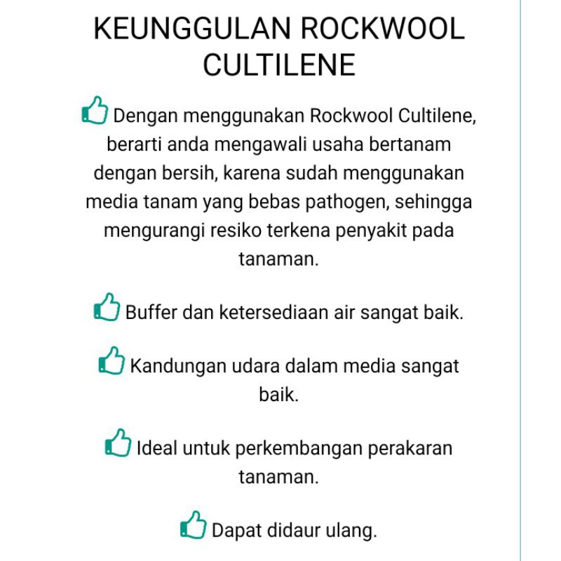 ROCKWOOL HIDROPONIK 72 PLUG 15X10X7.5 CM