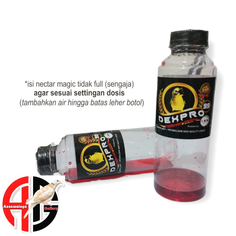 dexpro 99 liquid  suplemen pleci mempercepat  buka paruh burung pleci