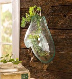 AQUARIUM AKAR KAYU SET DINDING GLASS ON WOOD DECORATION AQUARIUM AKAR KAYU SET DINDING GLASS ON WOOD DECORATION