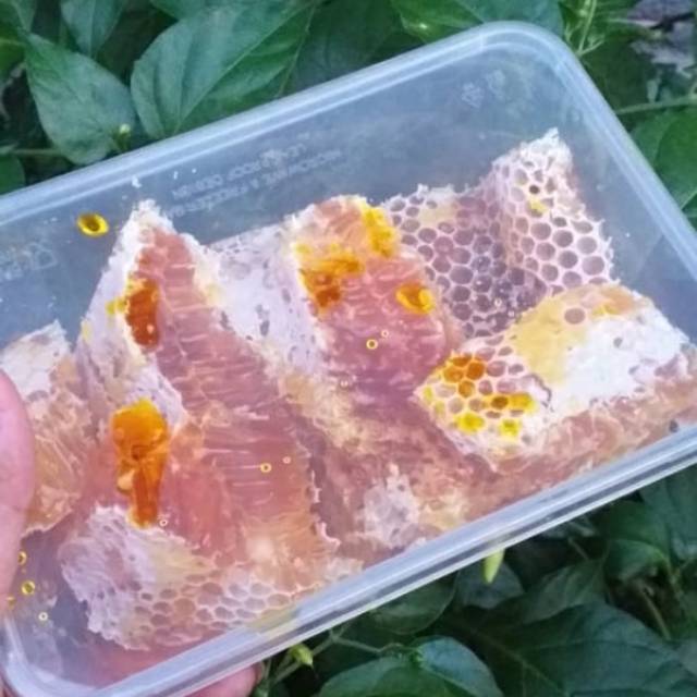 

Madu sarang