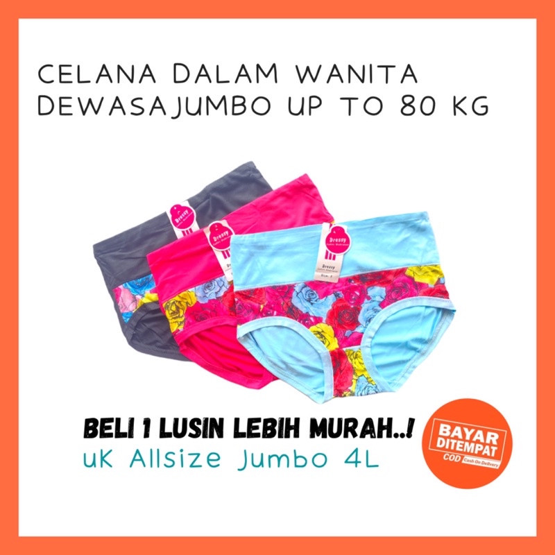 1 Lusin CD Celana Dalam Wanita Dewasa Jumbo 3L 4L Murah Undies Underwear Kancut Wanita Bigsize
