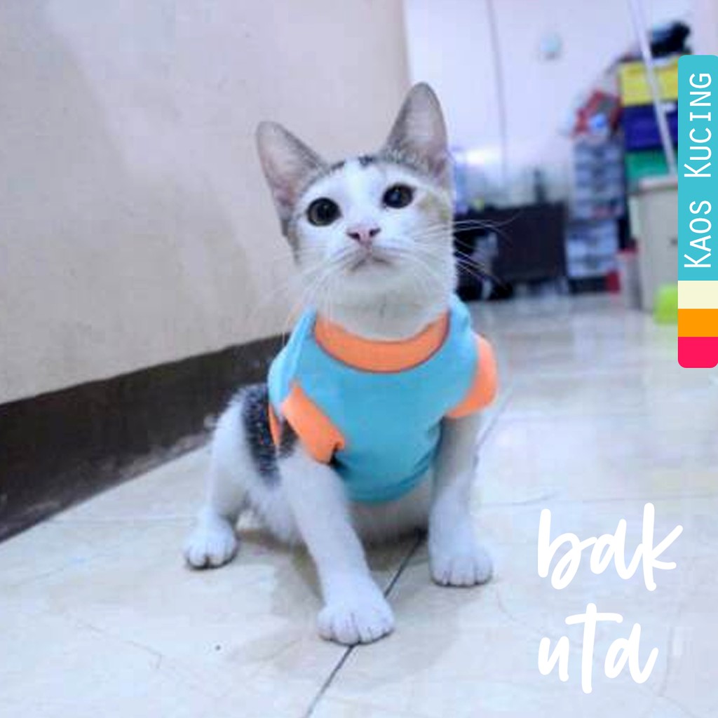 Kaos ucansee lucu untuk kucing dan anjing lucu / baju kucing murah size S-XL