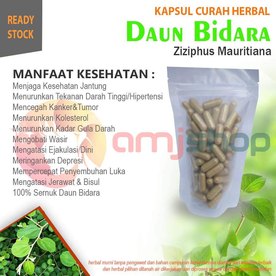 

KAPSUL CURAH HERBAL DAUN BIDARA