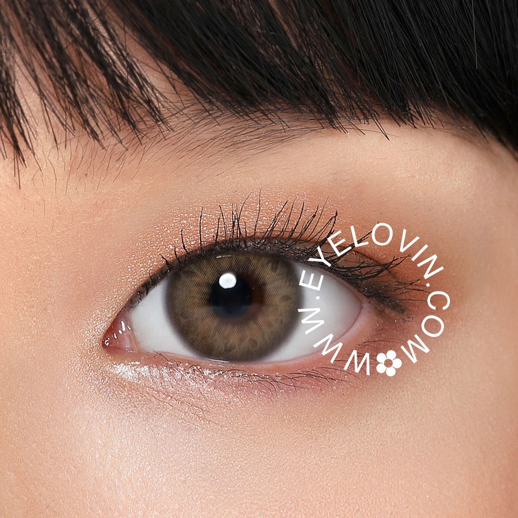 EYELOVIN Softlens EOS - Bollycon DNA Hazel