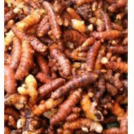 

kunyit sayur / kungit herbal 200 gr