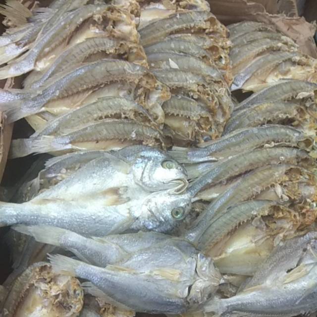 

Ikan kepala batu belah Medan® 100% asli medan,berat 250 gram
