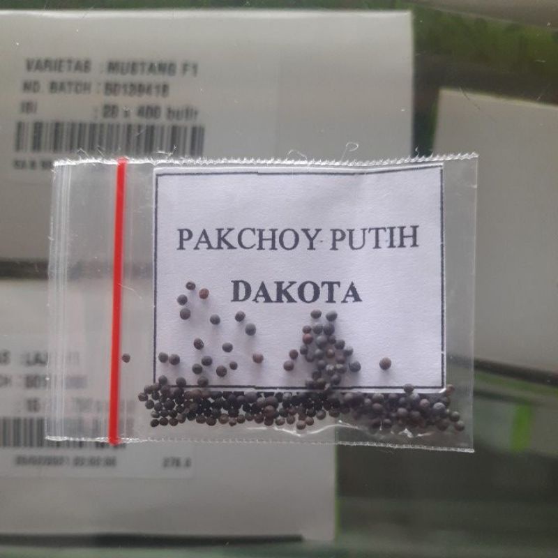 REPACK BENIH MURAH- Benih Bibit Biji Sawi Batang Putih DAKOTA (100an btr)