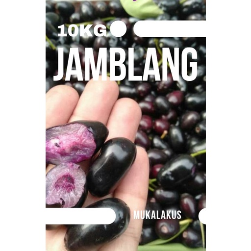 GROSIR BUAH JUWET SEGAR JAMBLANG GENTONG UKURAN BESAR 1 KRAT BERAT 10KG
