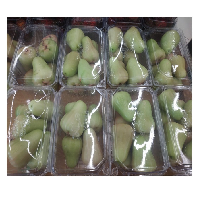

Jambu Air Jode rose Hijau Jumbo / manis segar / pack