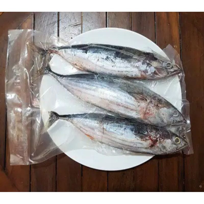 

Ikan Cakalang Beku