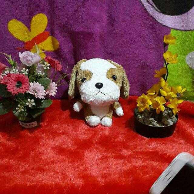 Boneka doggy