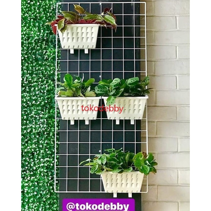 Ram Besi Putih Pot Gantung Gantungan Pot Argo