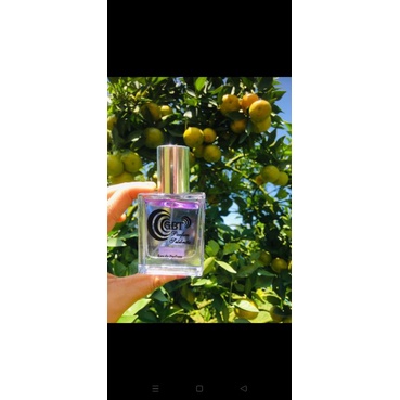 Parfum GBT (PARFUM SELEBRITIS)