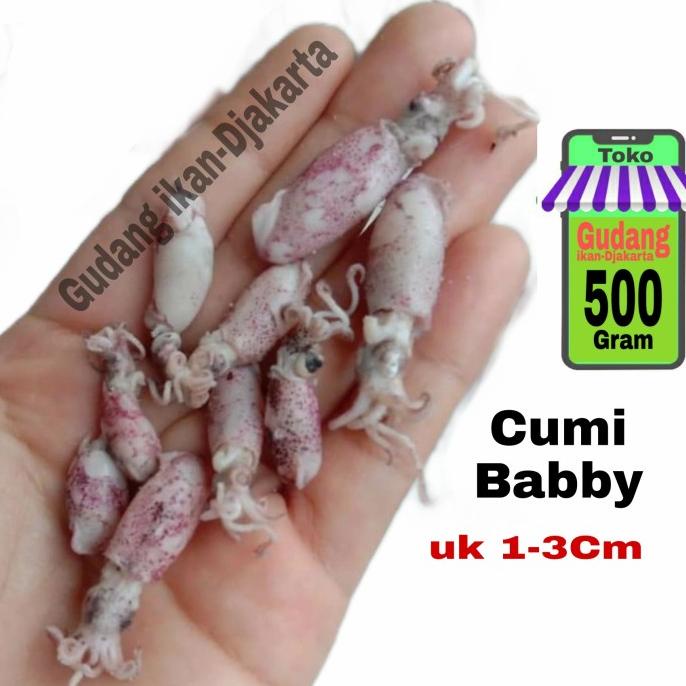 

[COD] ikan asin cumi bebby netto-500gram [COD]