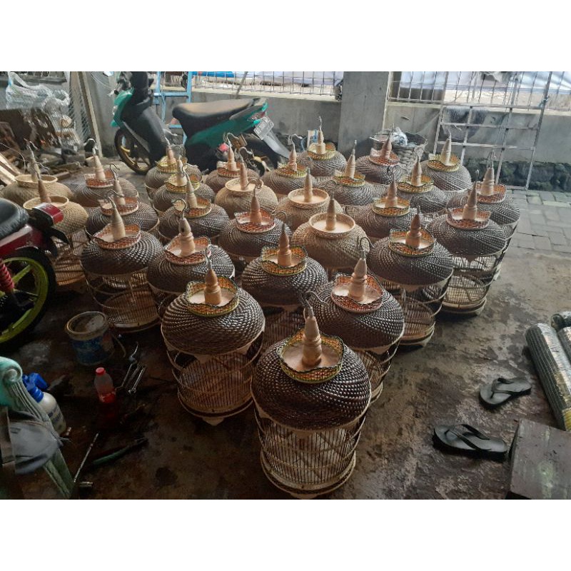 sangkar kutut rotan mahkota king