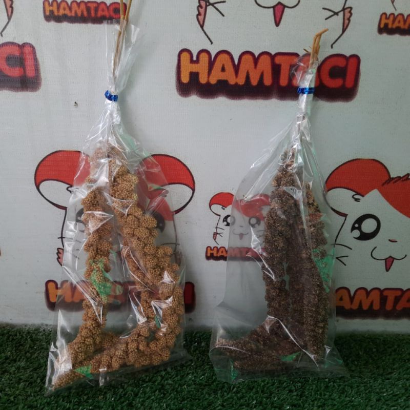 YELLOW &amp; BLACK FOXTAIL MILLET SPRAY/JEWAWUT 3 TANGKAI/CEMILAN HAMSTER/GERBIL/BURUNG