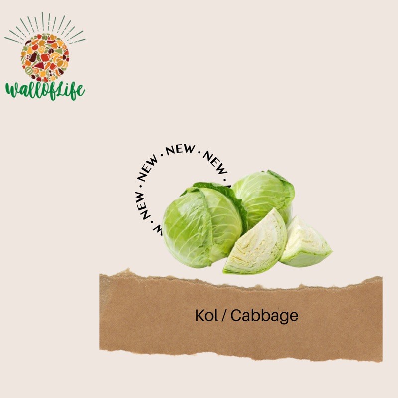 

Kol Hijau / cabbage 500gr Fresh kirim instant
