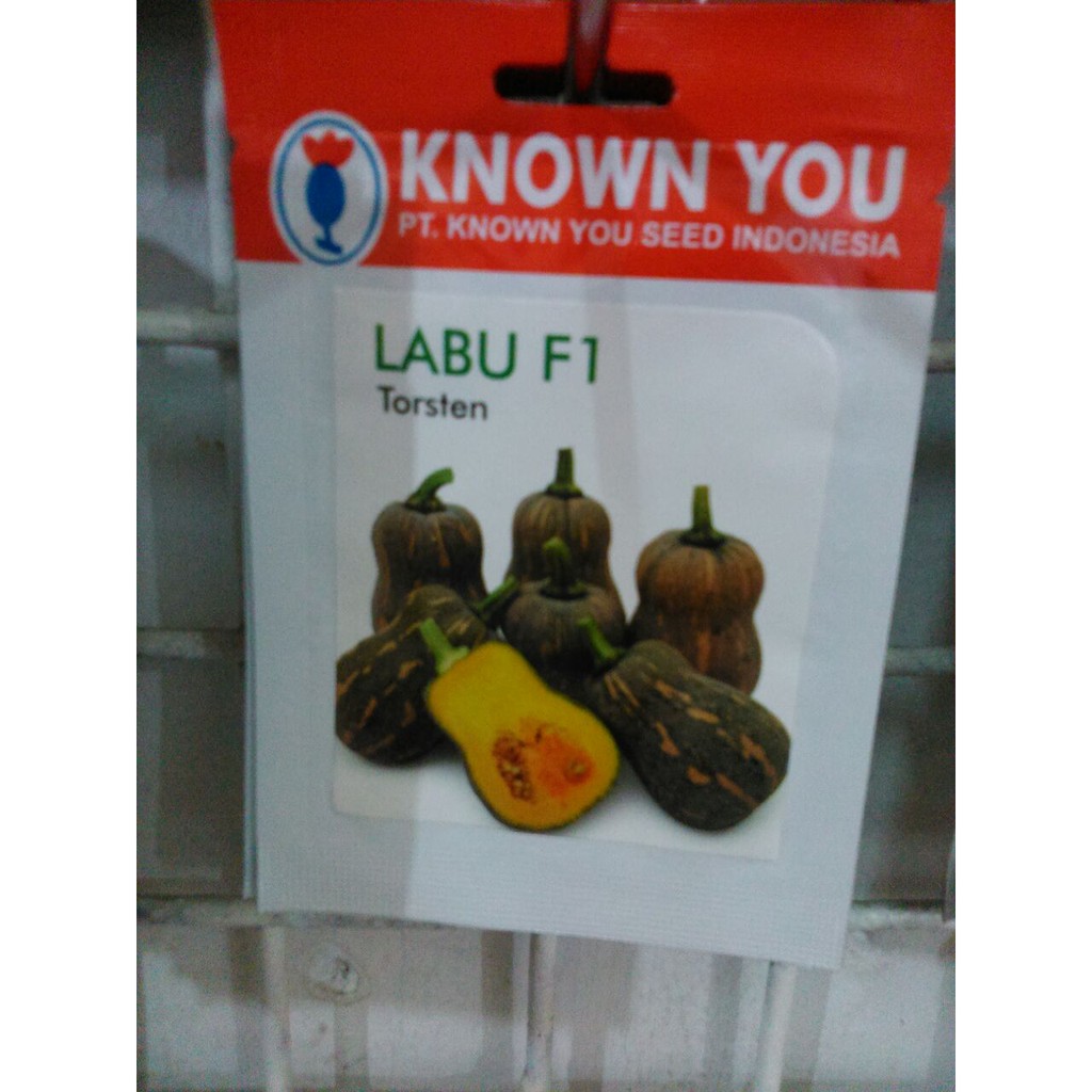 BENIH LABU F1 TORSTEN - KNOW YOU SEED