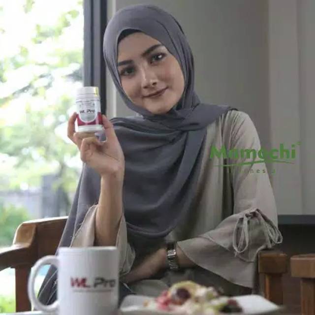 Obat diet wl pro obat pelangsing wl pro obat penghancur lemak wl pro obat penurun berat badan wlpro