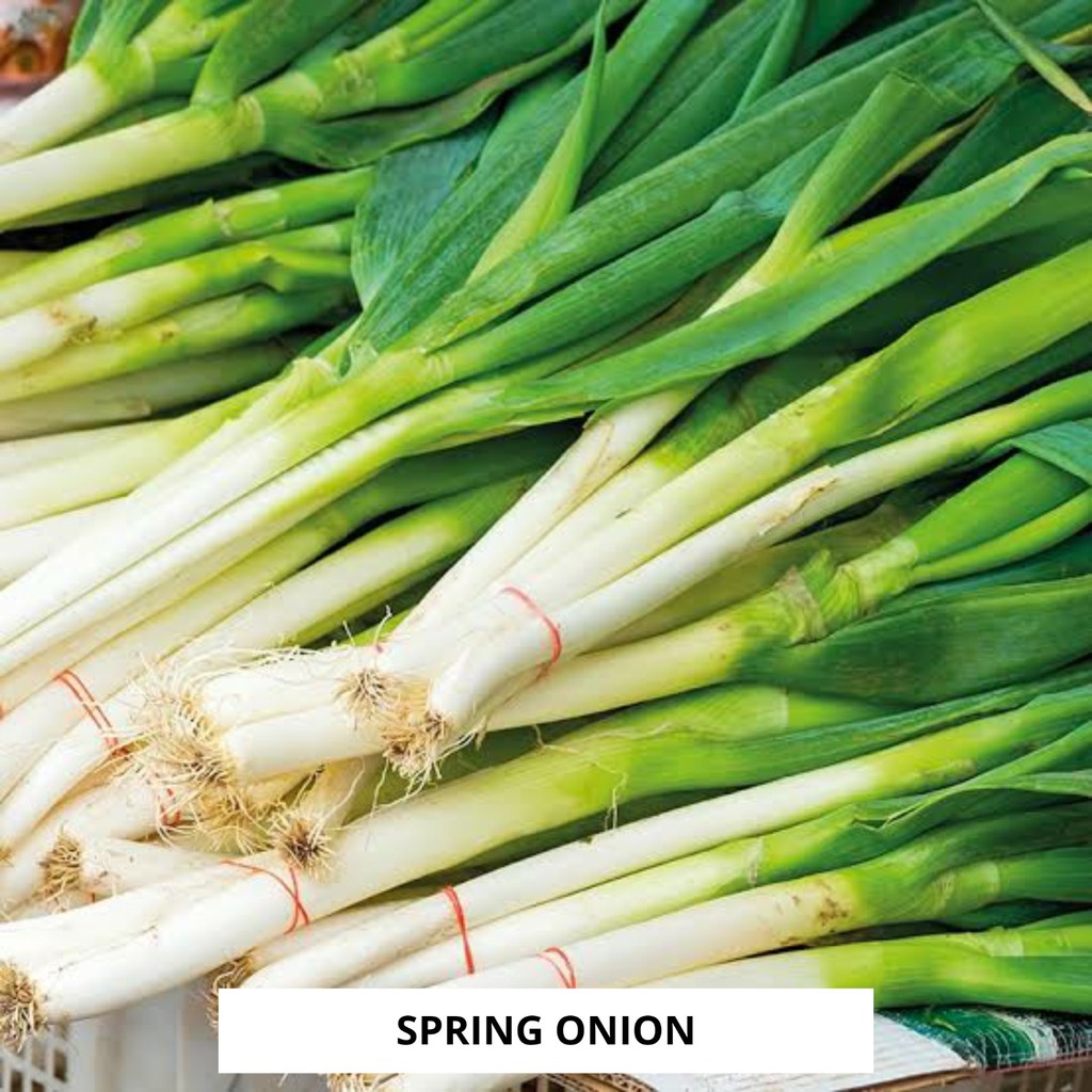 

Daun Bawang 200gr Spring Onion