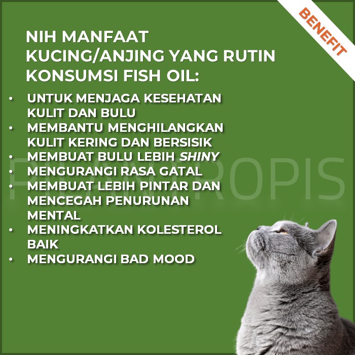 KAREIN MINYAK IKAN KUCING ANJING HAMSTER BURUNG VITAMIN BULU KUCING OMEGA 3 FISH OIL KUCING FISHOIL