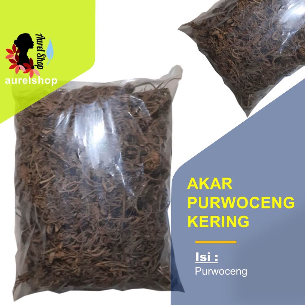 

Akar Purwoceng Purwaceng Kering 1 kg