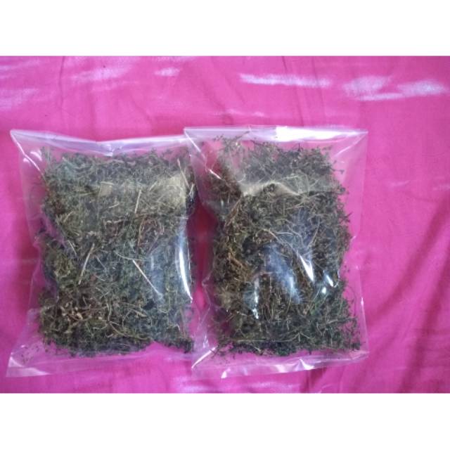 

[Daryatishop] TEH RUMPUT MUTIARA . MASIH ASLI TANPA CAMPURAN