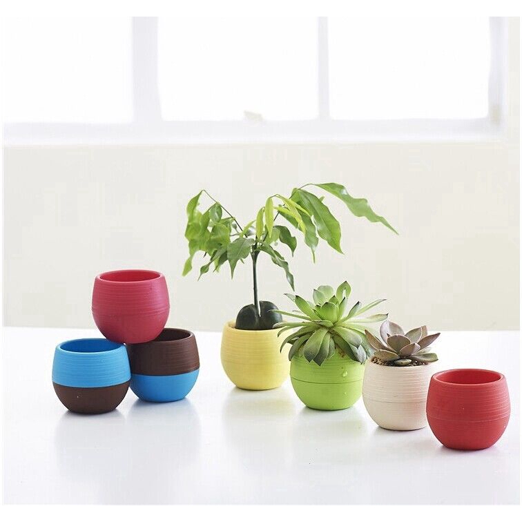 Pot Bunga Mini Bahan Plastik Warna Warni untuk Dekorasi Rumah / Kantor