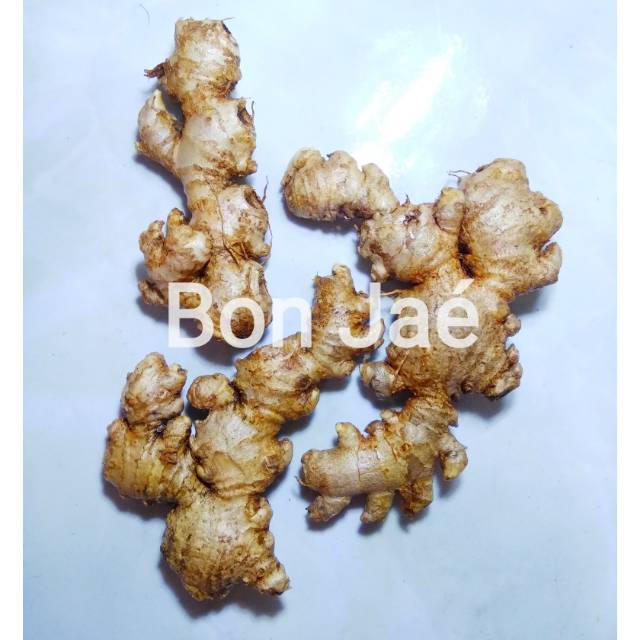 

Jahe emprit basah /untuk resep jsr/ rempah / mpon-mpon