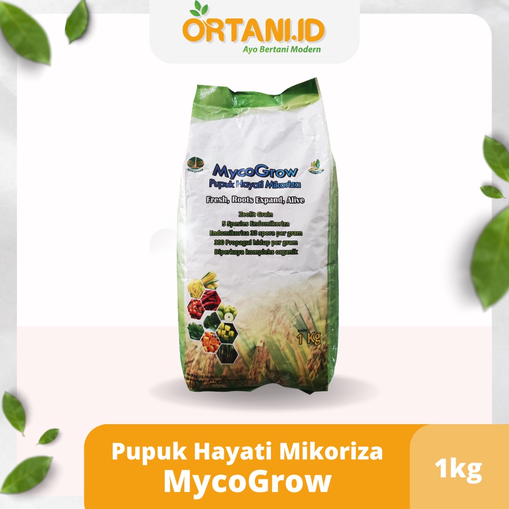 Jual Pupuk Organik Mycogrow Pupuk Hayati Mikoriza 1kg Pupuk Akar ...