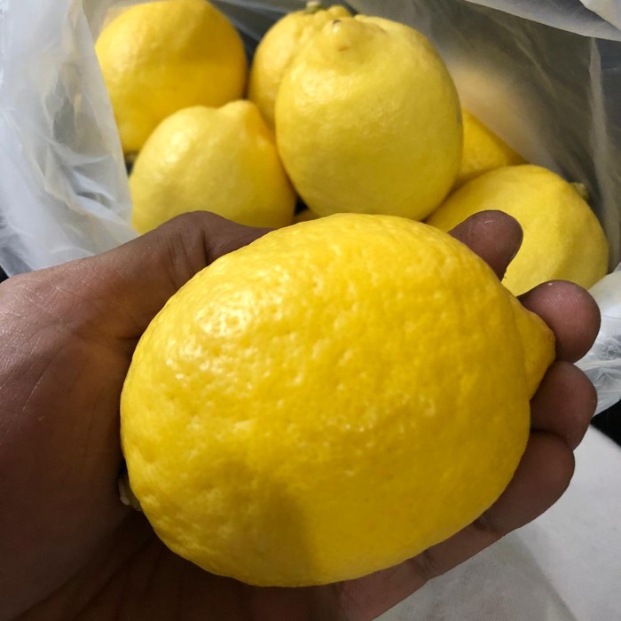 

Lemon Import/Citrus Limon/Lemon Fruit - Stengah Kilo