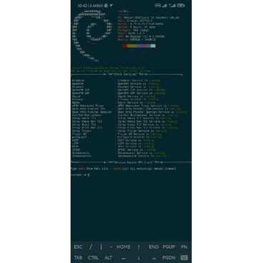 Auto Install Script Premium VPS for Tunneling (30 hari)