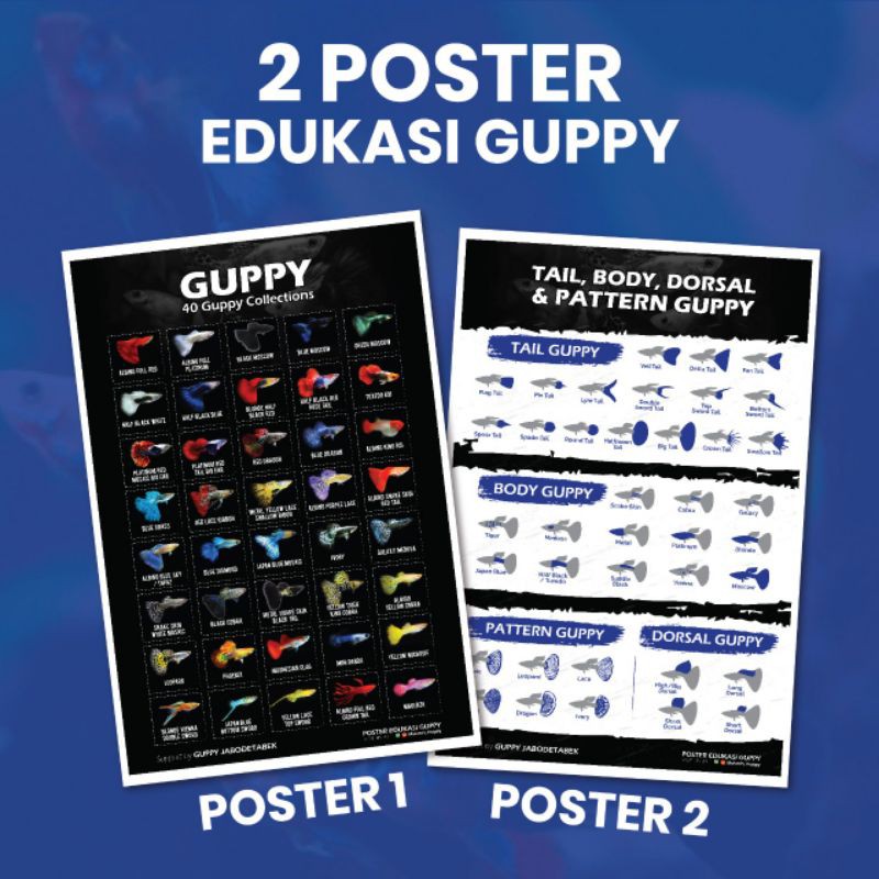 Poster Edukasi Ikan Guppy (2) | Jenis & Pattern Guppy