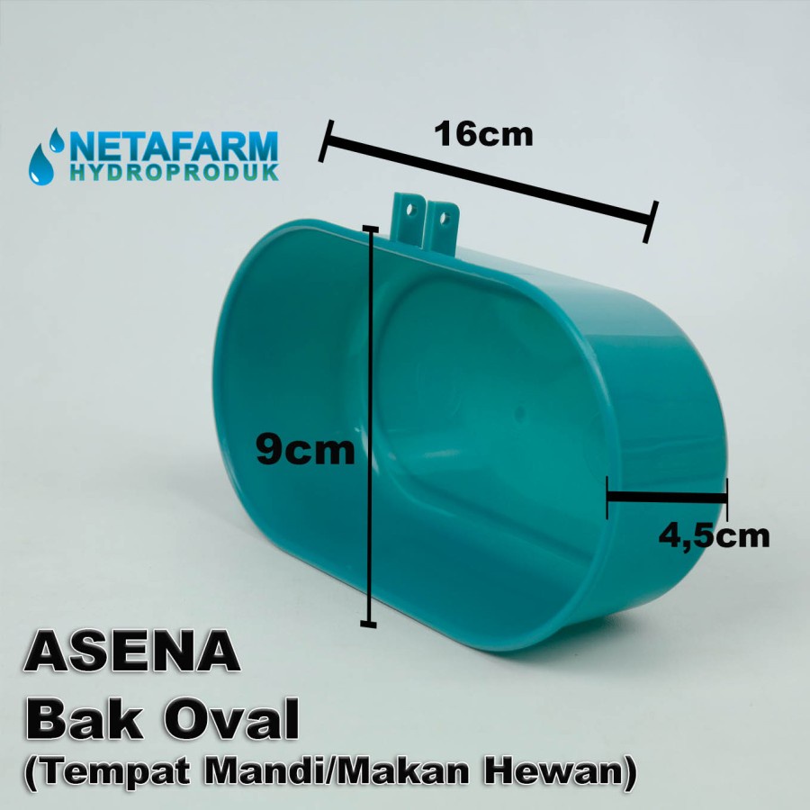 Cepuk Tempat Makan Mandi Hewan burung Oval ASENA - 1pc