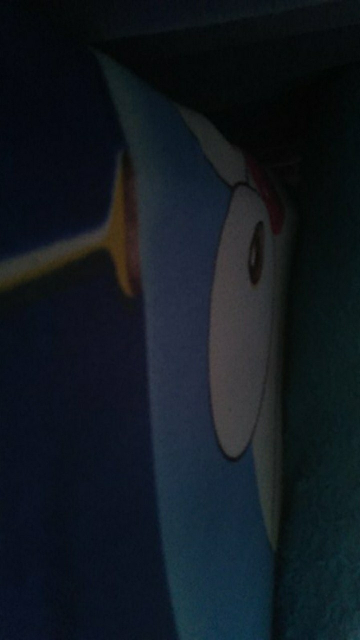 Face Shield Yushinca Fs 03 (buka Tutup)