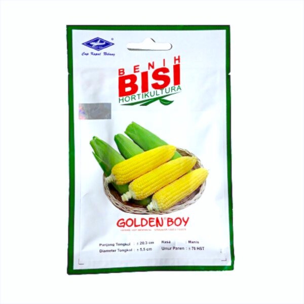 Benih Bibit Jagung Manis Golden Boy F1 50 Biji BISI Unggul Hibrida