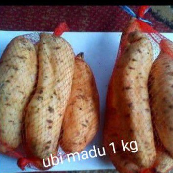 

Ubi madu cilembu