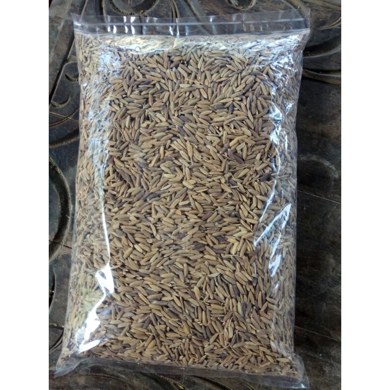 1 kg Benih Padi Hitam Organik Cempo Ireng / Jeliteng