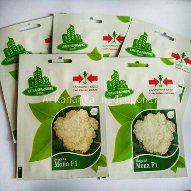 Benih bunga kol mona f1 cap panah merah