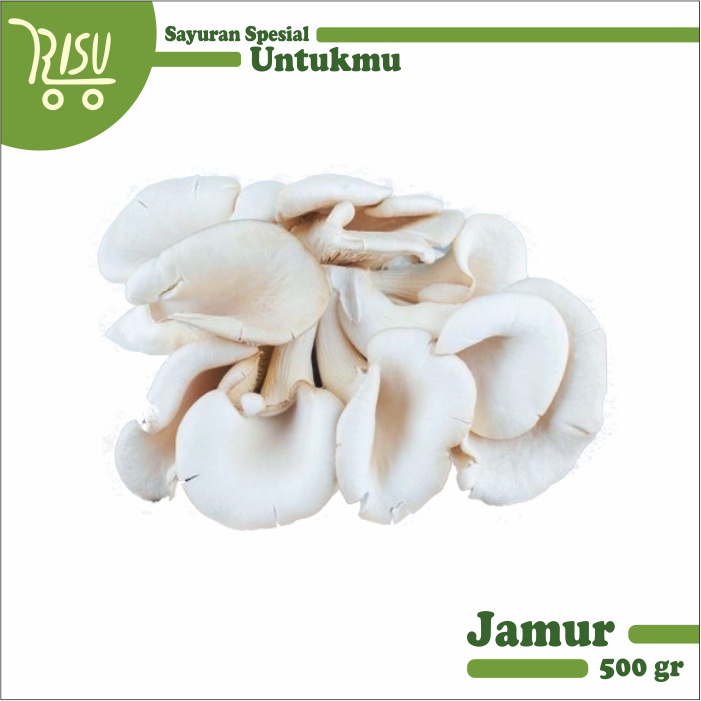 

Jamur Tiram Putih Segar Murah 500 gram Oyster Mushroom Berkualitas