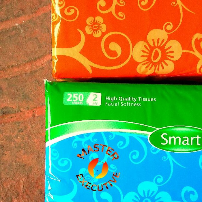 Paseo Smart High Quality Tissue 250 Sheets 2 Ply Facial Softness