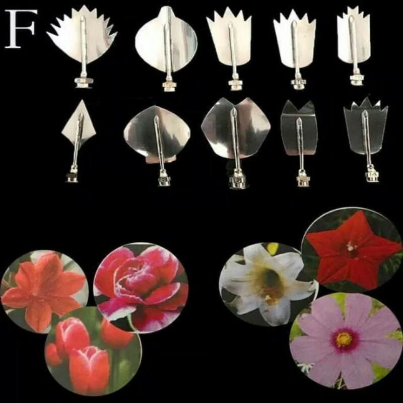 Gelatine jelly art tool F puding art decor 3D import puding hias
