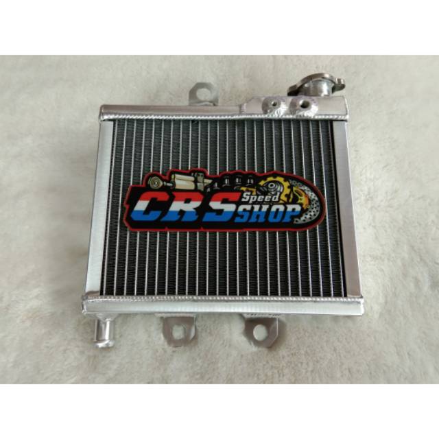 Termurah Radiator Spac Thailand Ninja R & Rr