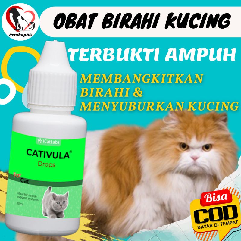 OBAT KUCING PENAMBAH BIRAHI DAN STAMINA HEWAN KUCING JANTAN DAN BETINA SUPLEMEN VITAMIN PENYUBUR KUC