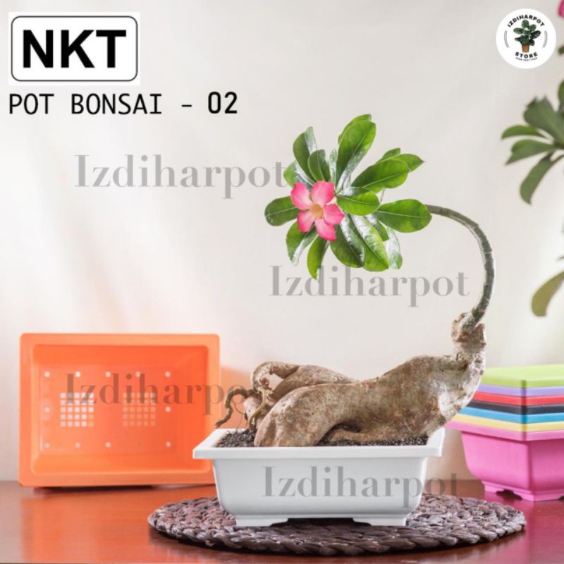 pot bunga tanaman ceper NKT BONSAI 02 PUTIH - NKT BONSAI 02 PUTIH