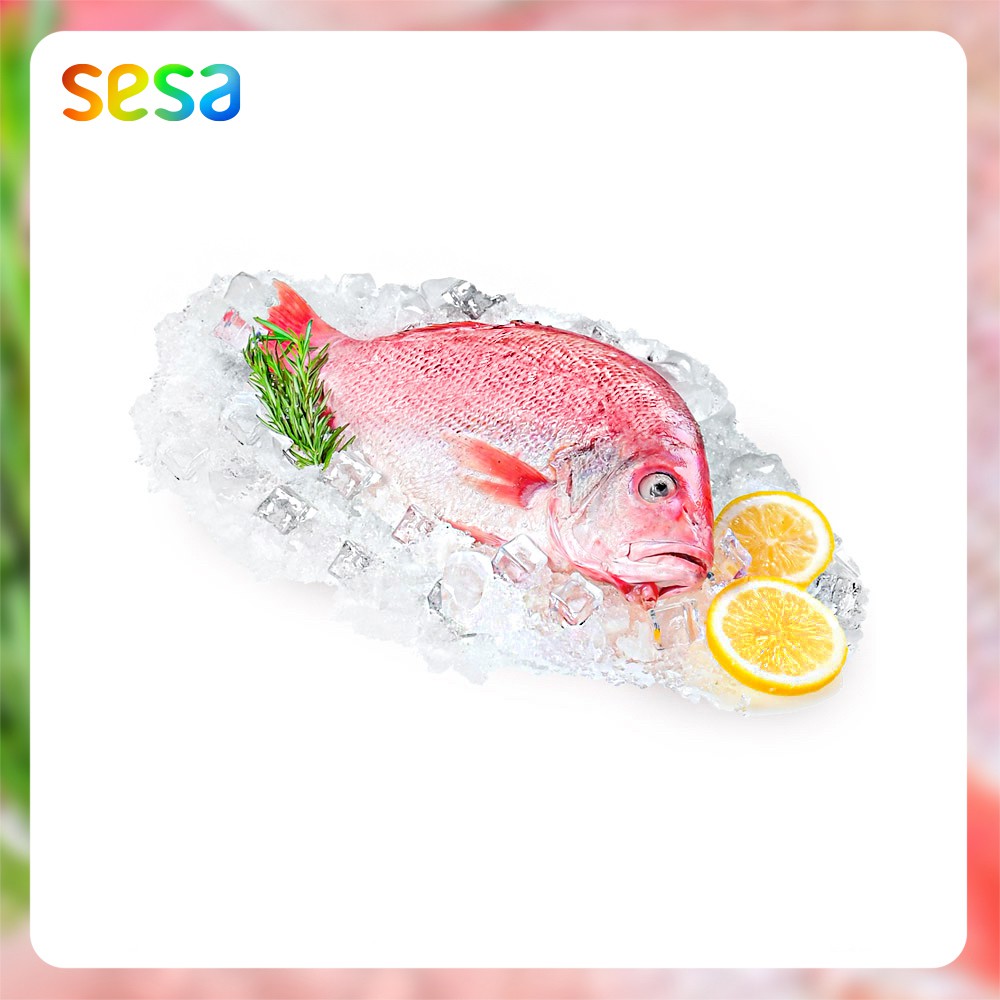 

IKAN KAKAP Merah Beku 0.8 - 0.9kg - Seafood Fresh Segar Frozen Food